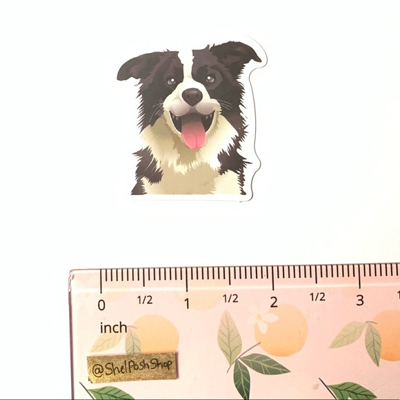 Border Collie Vinyl Sticker - Picture 2 of 2